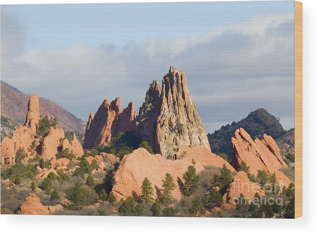 Colorado Wood Print featuring the photograph Garden of the Gods Colorado Springs by Steven Krull