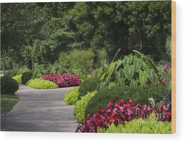 Boathouse Forest Park Wood Print featuring the photograph Garden Path by Andrea Silies