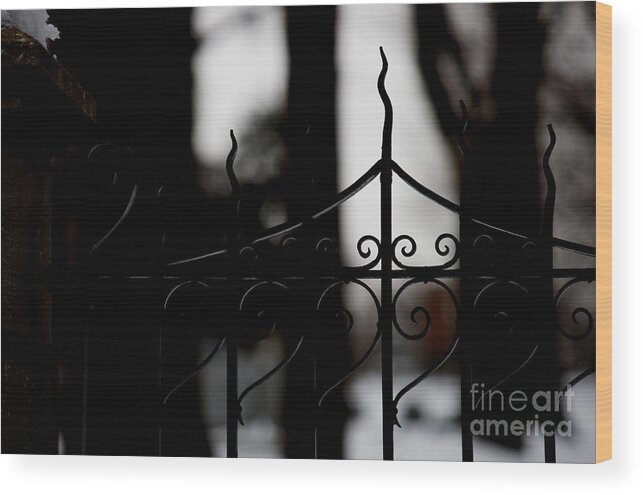 Wrought Iron Wood Print featuring the photograph Gated Woods by Linda Shafer