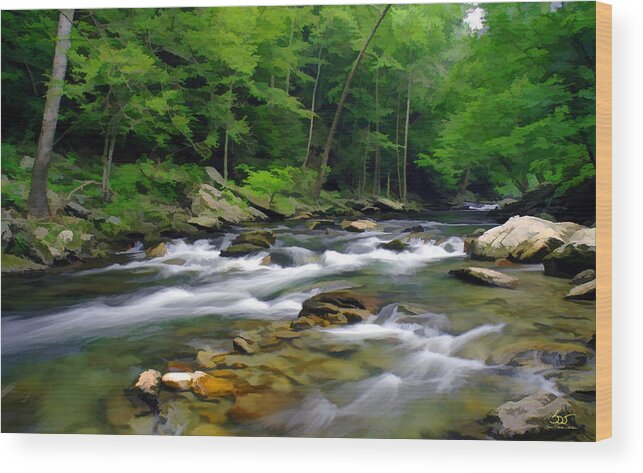 Water Wood Print featuring the photograph Gatlinburg Stream by Sam Davis Johnson