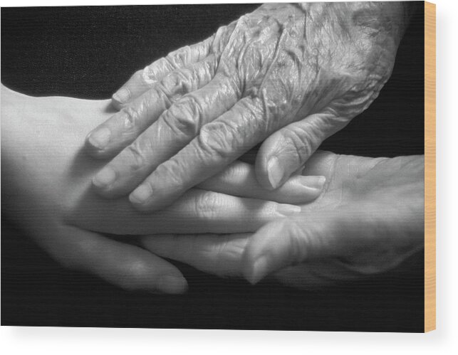Hands Wood Print featuring the photograph Generations by Jerry Griffin