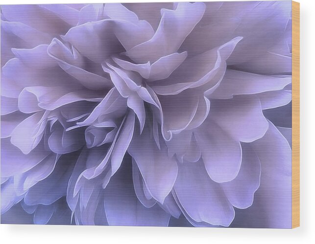 Flower Wood Print featuring the photograph Gentle Breeze by Darlene Kwiatkowski