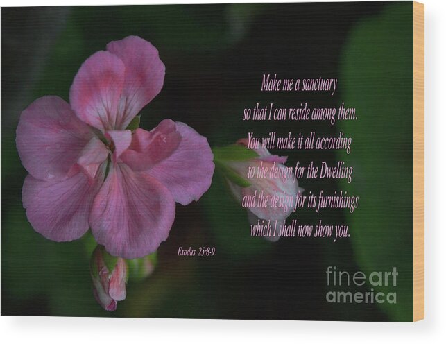 Scripture Wood Print featuring the photograph Geranium After the Rain Scripture by Debby Pueschel