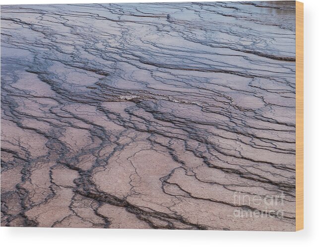 Midway Geyser Basin Wood Print featuring the photograph Geyser Runoff Shapes by Bob Phillips