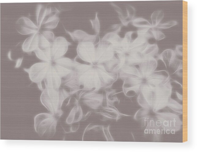 Ghost Wood Print featuring the digital art Ghost Flower - Souls in bloom by Jorgo Photography