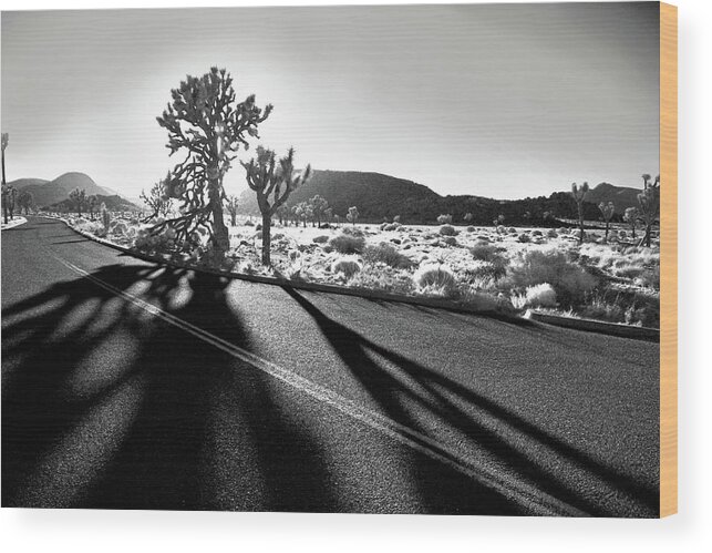 Joshua Tree Wood Print featuring the photograph Ghouls by Laurie Search