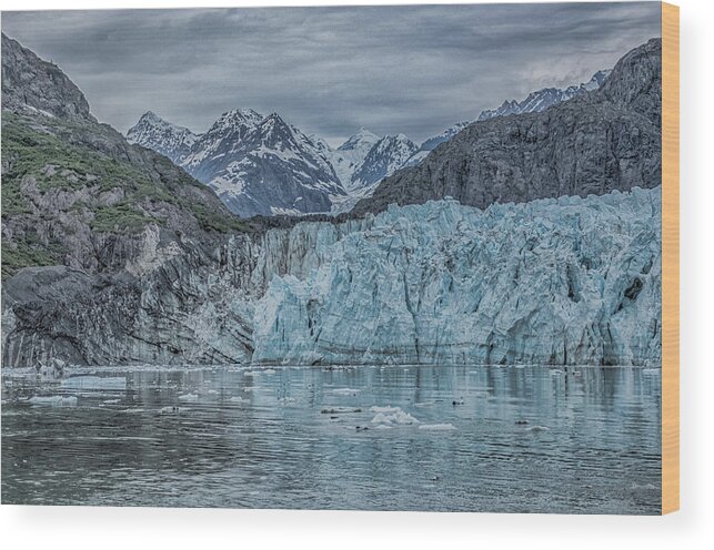Alaska Wood Print featuring the photograph Glacier Bay by Patricia Dennis