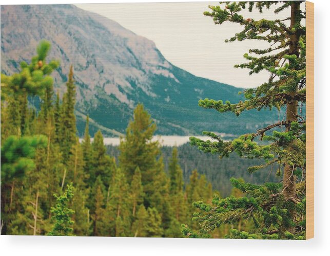  Wood Print featuring the photograph Glacier NP View by Matthew Justis