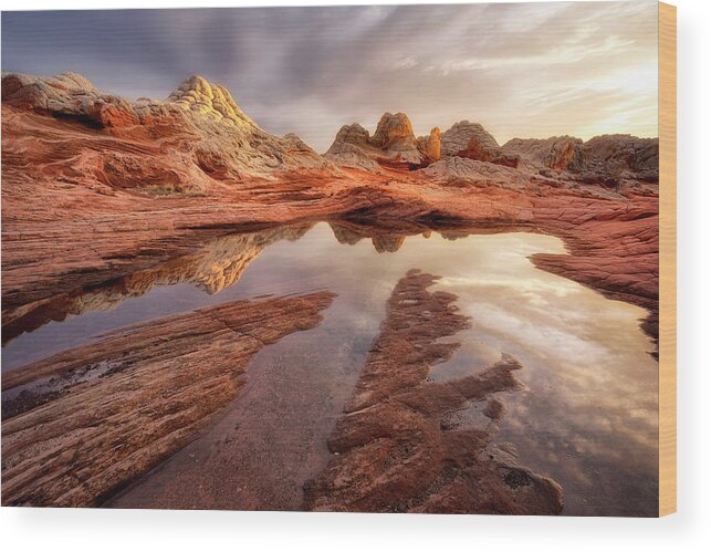 Sunset Wood Print featuring the photograph Glass Reflections by Nicki Frates