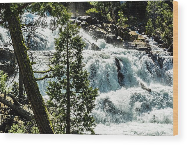 Glen Alpine Falls Wood Print featuring the photograph Glen Alpine Falls 1 by Joe Lach