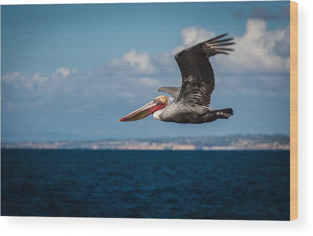 Ca Wood Print featuring the photograph Glide by David Downs