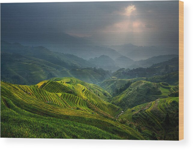 Landscape Wood Print featuring the photograph Glimmer Of Light by Gunarto Song