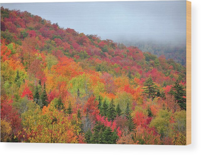 Green Mountains Wood Print featuring the photograph Glorious by Betty LaRue