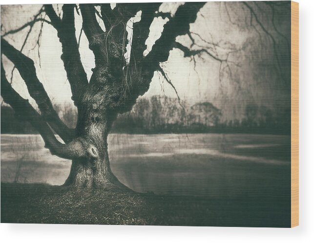 Gnarled Wood Print featuring the photograph Gnarled Old Tree by Scott Norris