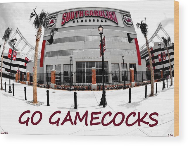 South Carolina Wood Print featuring the photograph Go Gamecocks by Lisa Wooten