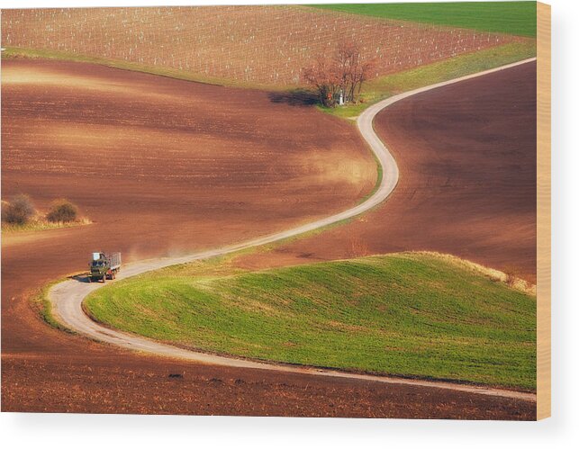 Landscape Wood Print featuring the photograph Go Work! by Fproject - Przemyslaw Kruk