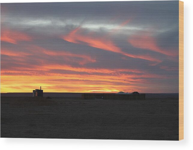 Camels Wood Print featuring the photograph Gobi Sunset by Diane Height