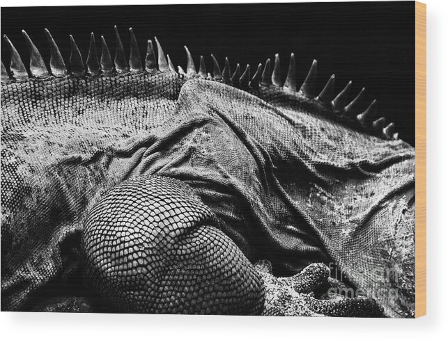 Godzilla Wood Print featuring the photograph Gojira by Jonas Luis
