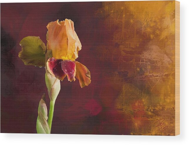 Beautiful Wood Print featuring the digital art Gold and Red Iris by Debra Baldwin