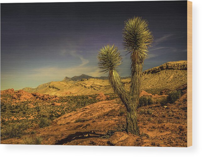 Joshua Wood Print featuring the photograph Gold Butte from the Joshua by Janis Knight