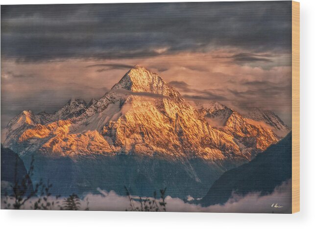 Switzerland Wood Print featuring the photograph Golden Evening Sun by Hanny Heim