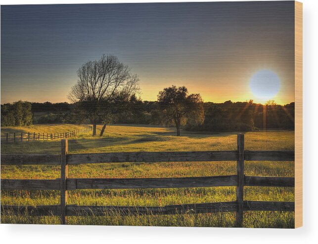 Field Wood Print featuring the photograph Golden Field by Mike Harlan