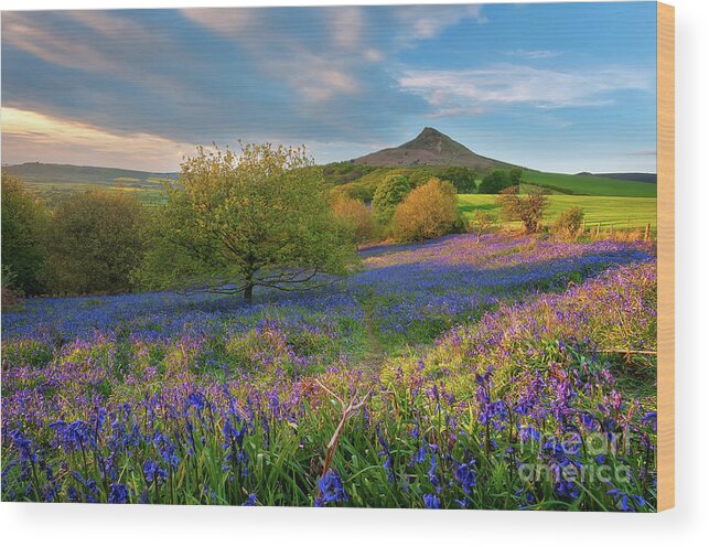 Mtphotography Wood Print featuring the photograph Golden hour at Roseberry Topping by Mariusz Talarek
