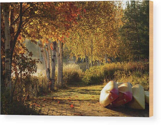 #jefffolger Wood Print featuring the photograph Golden sunlight Rangeley Maine by Jeff Folger