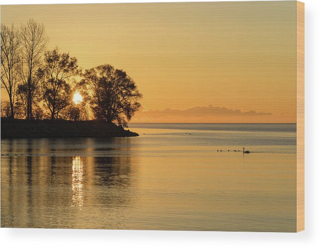 Georgia Mizuleva Wood Print featuring the photograph Golden Sunrise Glide With a Bit of Breeze by Georgia Mizuleva