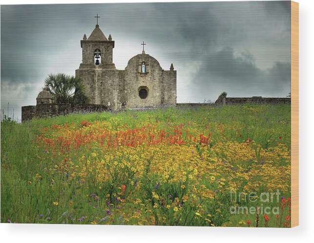 Landscape Wood Print featuring the photograph Goliad in Spring by Jon Holiday