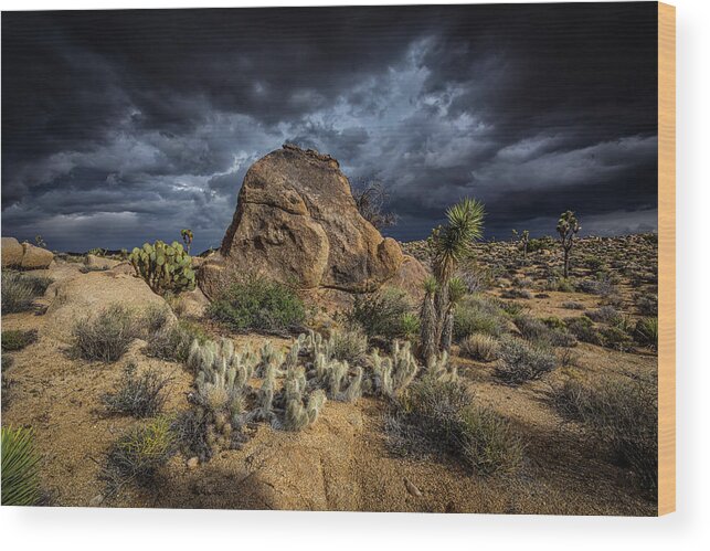 Agave Wood Print featuring the photograph Good vs Evil by Peter Tellone