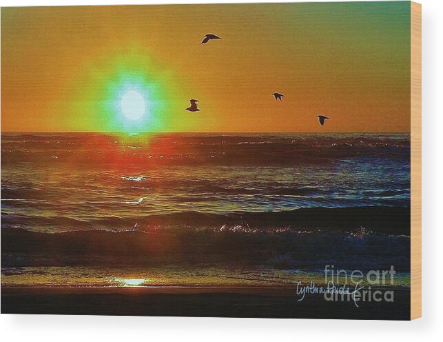 Photography Art Wood Print featuring the photograph Goodnight Sun by Cynthia Pride