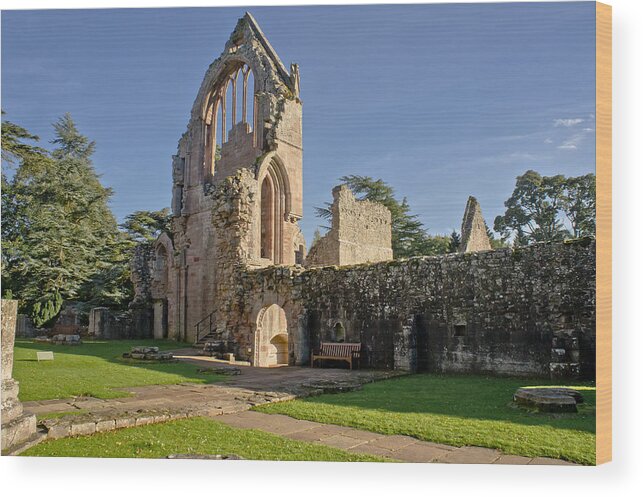 Ruins Wood Print featuring the photograph Gothic ruins. Dryburgh Abbey. by Elena Perelman