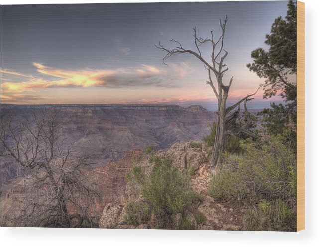 Grand Canyon Wood Print featuring the photograph Grand Canyon 991 by Michael Fryd