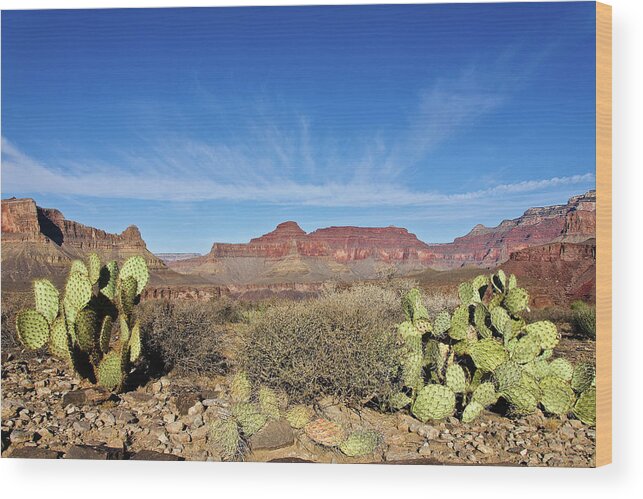 Grand Canyon Plateau Point Wood Print featuring the photograph Grand Canyon Plateau Point by Greg Smith