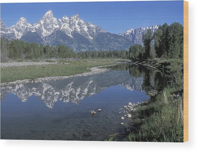 Grand Teton Wood Print featuring the photograph Grand Teton Reflection at Schwabacher Landing by Sandra Bronstein