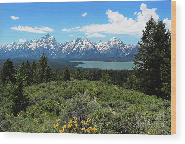 Grand Tetons Wood Print featuring the photograph Grand Tetons by Jemmy Archer