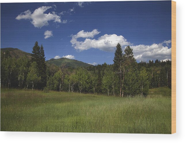 Wyoming Wood Print featuring the photograph Grand Tweton National Park by Mark Smith