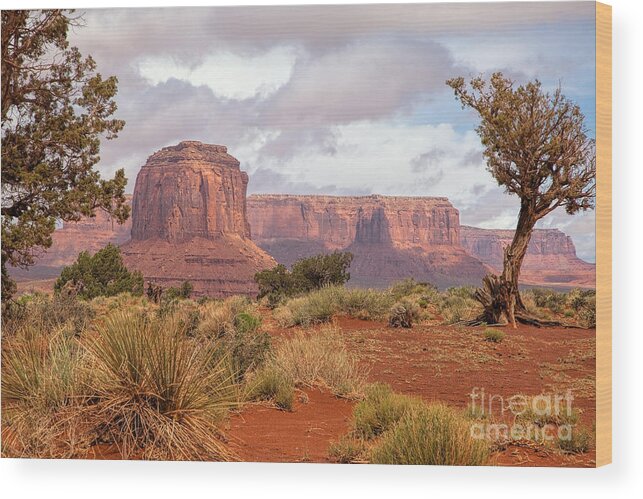 Monument Valley Print Wood Print featuring the photograph Grandview by Jim Garrison