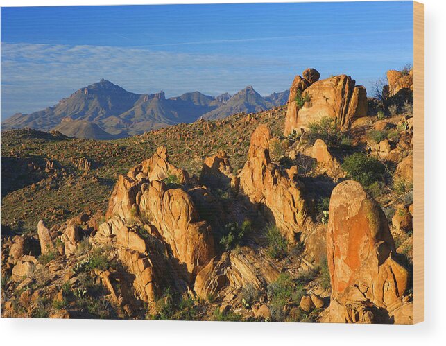 Texas Wood Print featuring the photograph Grapevine Hills by Eric Foltz