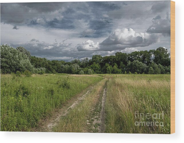 Acre Wood Print featuring the photograph Gravel road through scenic landscape in a national park in Austria by Andreas Berthold