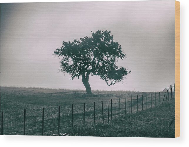  Wood Print featuring the photograph Gray Sky Morning by Mike Trueblood