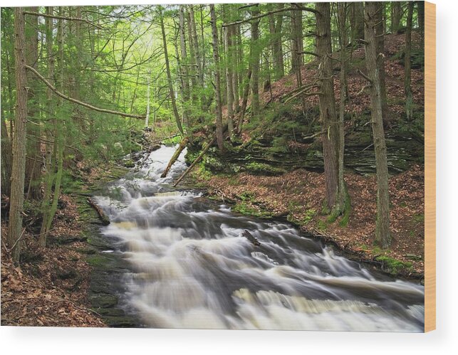 Waterfall Wood Print featuring the photograph Grayville Cascades by Allan Van Gasbeck