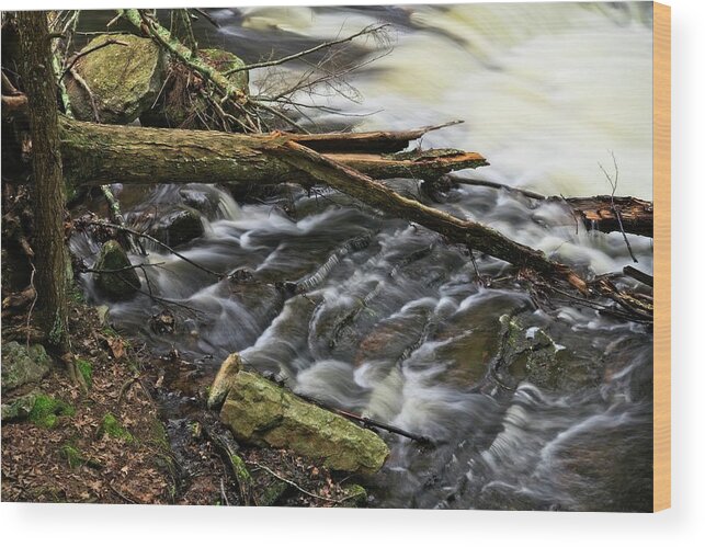 Waterfall Wood Print featuring the photograph Grayville Falls Study by Allan Van Gasbeck