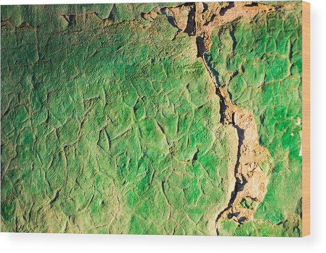 Abstract Wood Print featuring the photograph Green Flaking Brickwork by John Williams