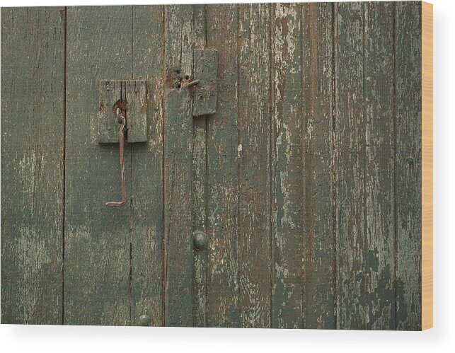 Doors Wood Print featuring the photograph Green Garage Door by Dutch Bieber