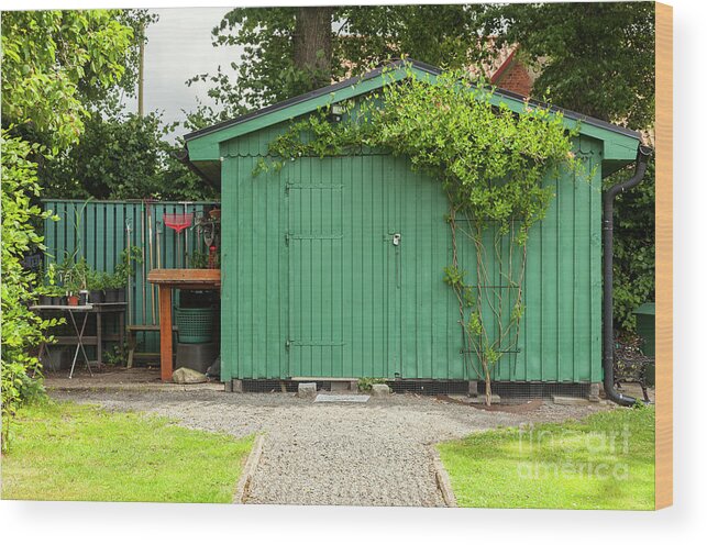 Shed Wood Print featuring the photograph Green garden shed by Sophie McAulay