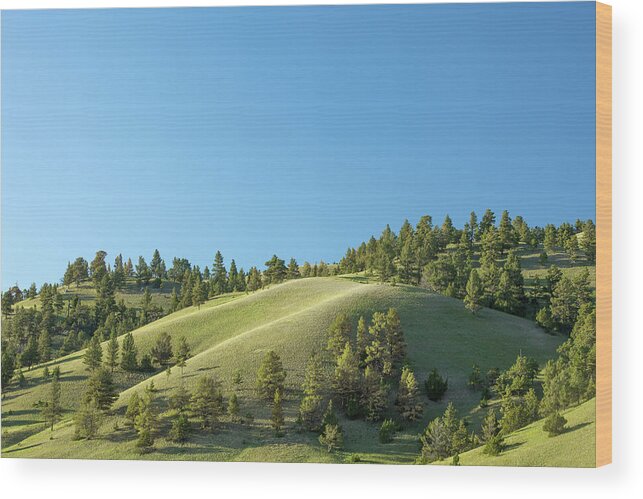 Hills Wood Print featuring the photograph Green Hills by Todd Klassy