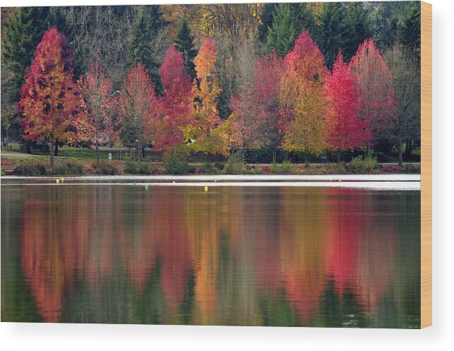 Landscape Wood Print featuring the photograph Green Lake Autumn Reflection by Emerita Wheeling