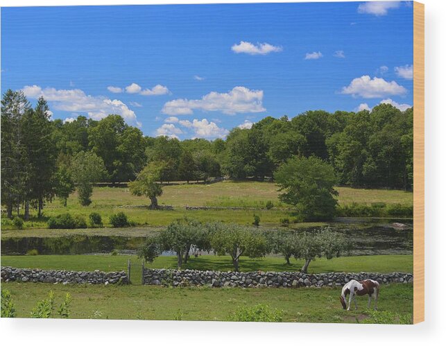 Farm Wood Print featuring the photograph Green Pastures by Tammie Miller